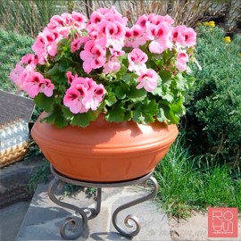 Torratxa amb suport M350